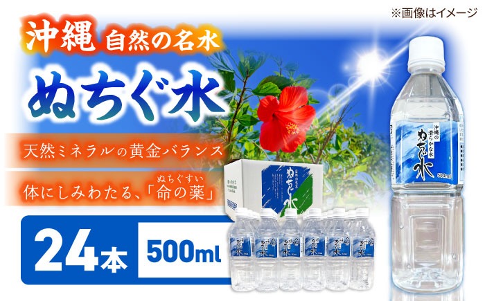 自然の名水 ぬちぐ水 500ml 24本 水 飲料水 ミネラルウォーター 防災 キャンプ 備蓄 / トゥワァイス[BCEJ001]