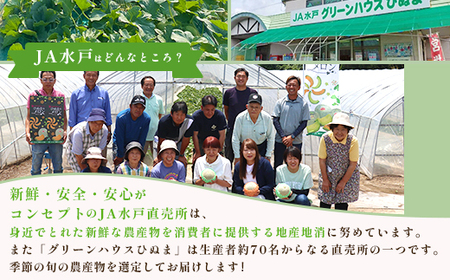 234-1茨城町産紅はるか3kg（さつまいも）【2025年11月中旬頃より発送予定】