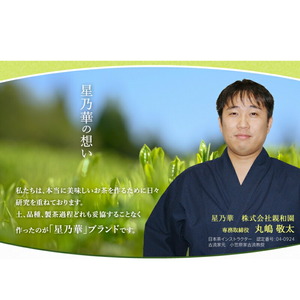 [八女茶] 訳あり品 八女星野茶 深蒸し茶 1100g お茶【015-0021】