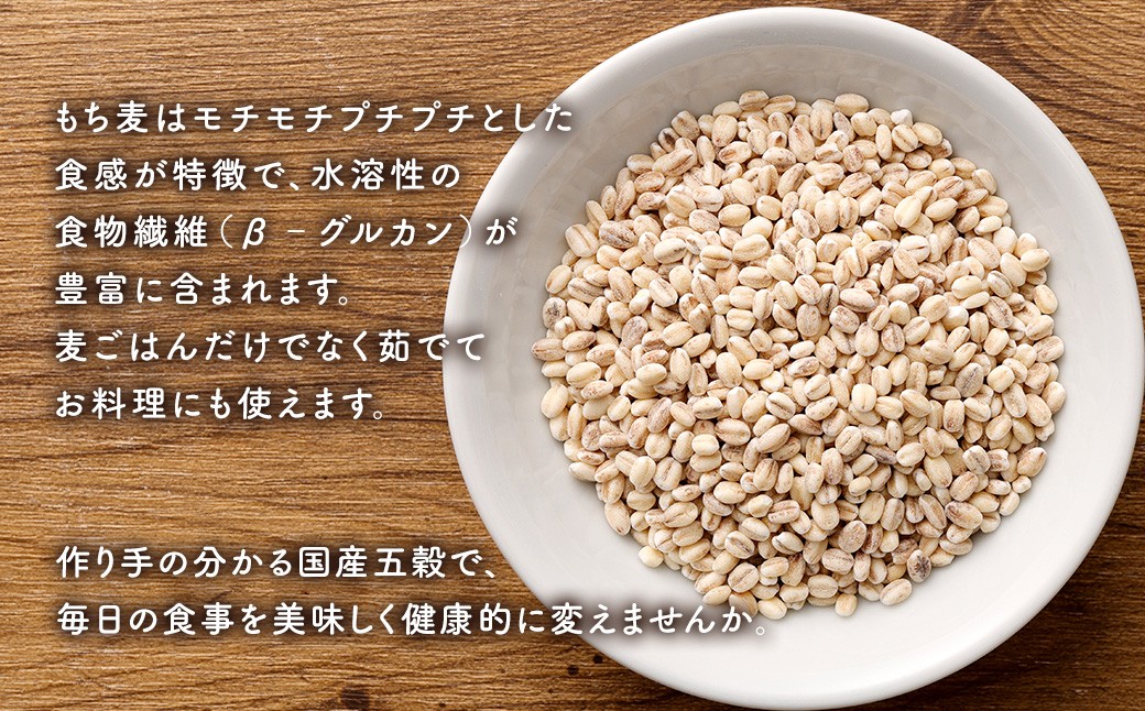 【ご自宅用】 プチプチ！ もち麦（丸）1kg×2袋