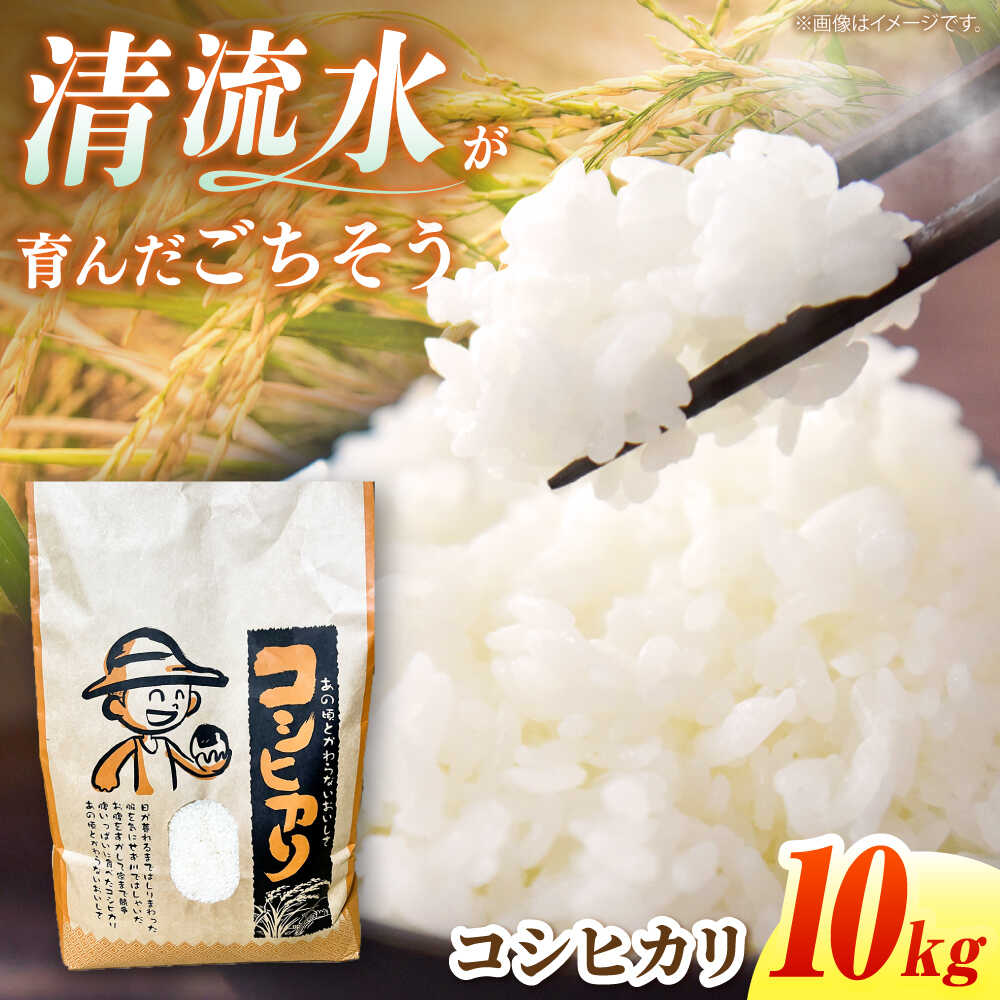 【ふるさと納税】＜令和7年産＞ コシヒカリ 10kg 米 白米 国産 岐阜 白川町 / 健康農園[AWBW002]