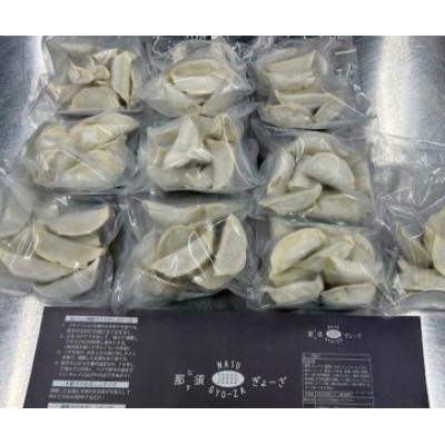 ふるさと納税 那須塩原市 那須餃子 100個入