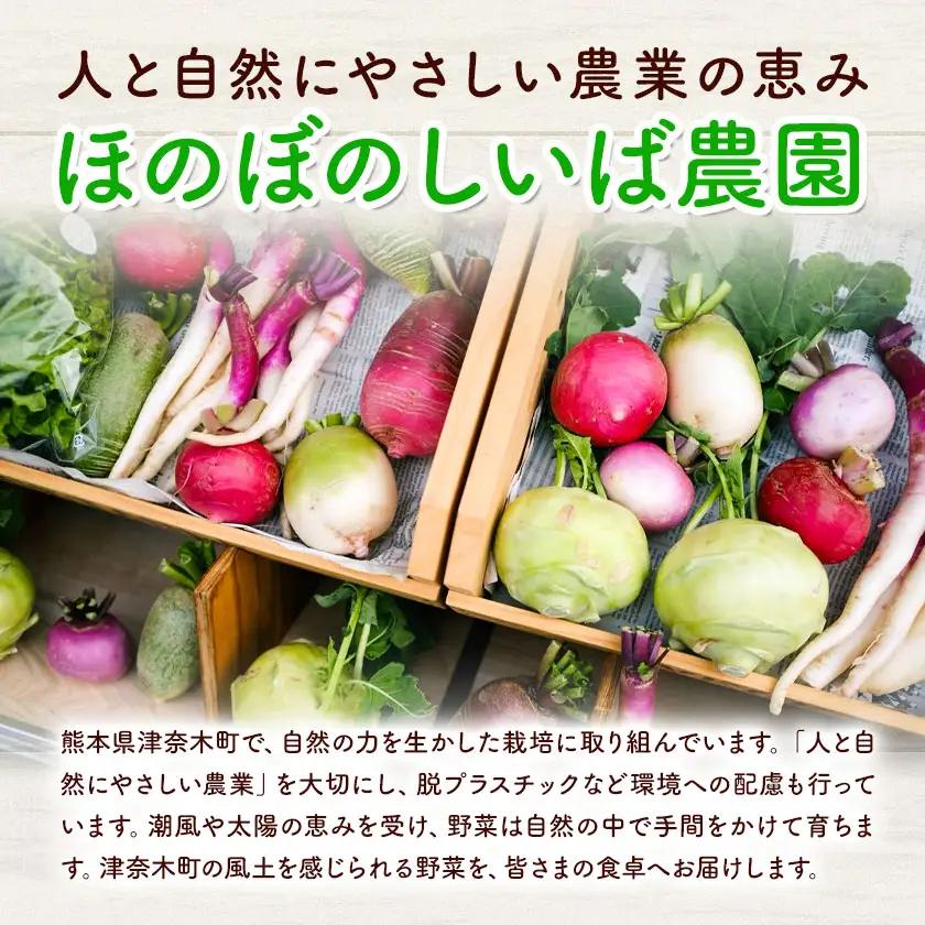 野菜 季節の野菜 10品 詰め合わせ セット ほのぼのしいば農園《9月上旬-2月下旬頃出荷》