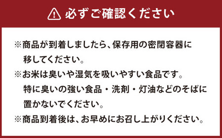 【令和5年産】熊本県産 くまさんの輝き 10kg(5kg×2) 米 精米 お米