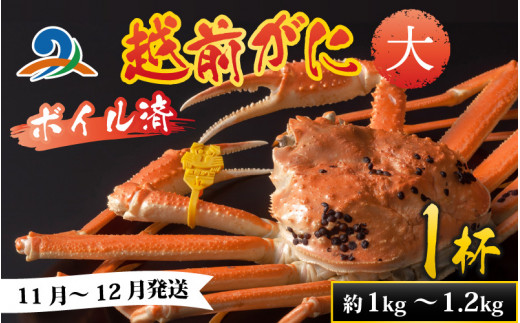 【先行予約】越前港より直送！ 越前がに 大 (約1kg～1.2kg) 1杯※発送前に在宅確認の電話連絡をいたします!【11月～12月発送予定】 ズワイガニ ずわいがに ズワイ蟹 越前ガニ ボイル 刺身 蟹 鍋 しゃぶしゃぶ 冷蔵  カニ 鍋 海鮮 かに福井県 南越前町 送料無料