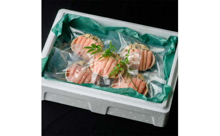 【先行予約】【冷蔵発送】香箱ガニ 甲羅盛り（5杯入り）2024年11月上旬以降発送｜ 身出し  石川県 加賀市  国産 甲羅盛 カニ かに 蟹 せいこがに  せいこ蟹 セコガニ せこ蟹 香箱蟹 香箱が