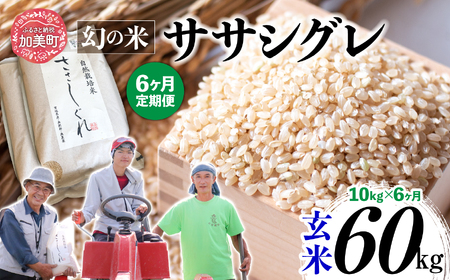 【 6回 定期便 】ササシグレ 玄米 10kg × 6回（ 合計 60kg ）nt00002-r6-10kg-6