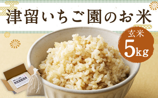 津留いちご園のお米 玄米 農薬・化学肥料不使用（栽培期間中） 5kg 【2025年11月上旬から2026年10月下旬順次発送予定】 米 お米 ご飯 九州 福岡