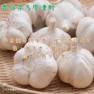 多度津町産　乾燥にんにく（予約受付中： 令和7年6月中旬より発送！）【B-21】