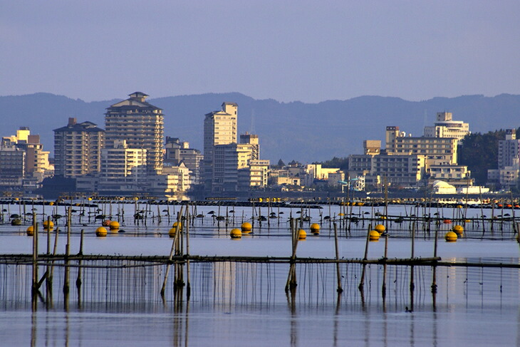 魚介類 牡蠣 / 能登かき / むき身・加熱用［むき身650g×2個］ ※2024年12月上旬～2025年5月上旬頃に順次発送予定 ※離島への発送不可