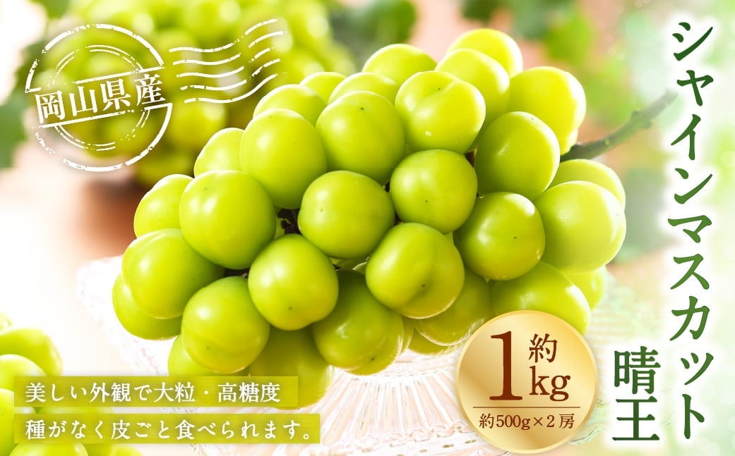 
                  岡山県産 シャインマスカット 晴王 約1kg （ 500g×2房 ） ぶどう ブドウ 葡萄 マスカット 果物 くだもの フルーツ 国産 【 2026年8月下旬～11月下旬発送予定 】
                