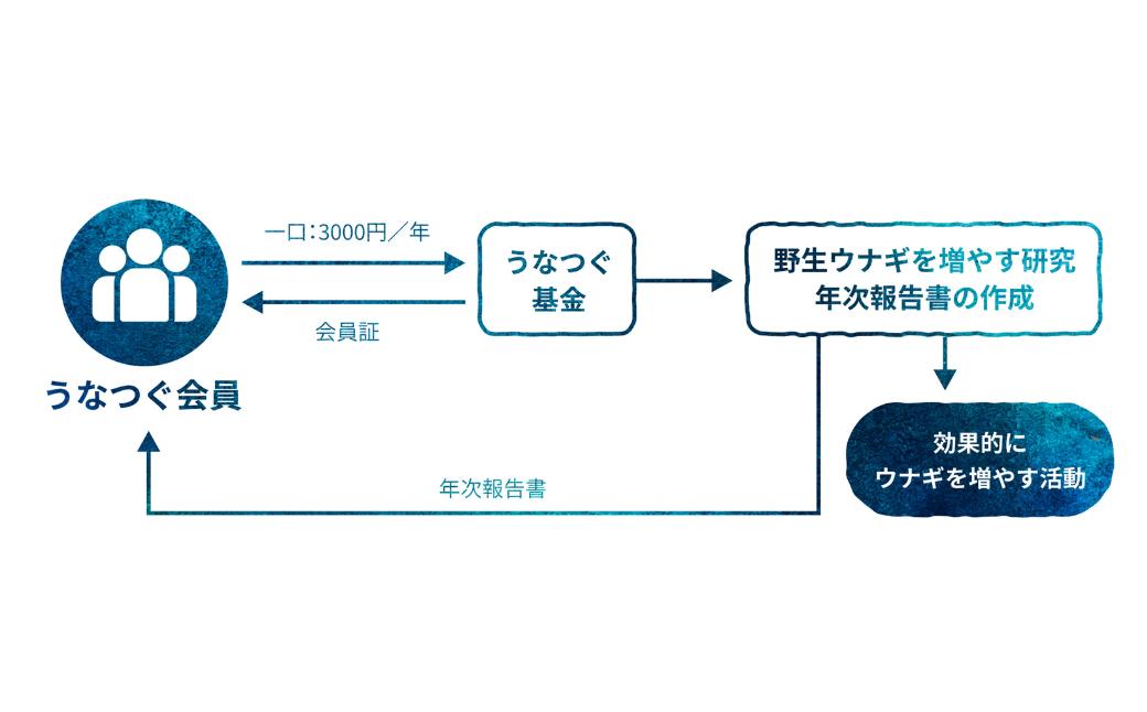 うなつぐ サポート会員（一口　3,000円分） 年間会員証 A-cz-A01A