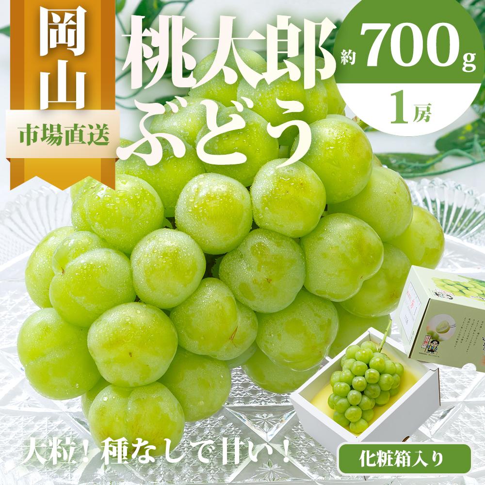 【ふるさと納税】ぶどう 2026年 桃太郎 ぶどう 1房（700g以上）化粧箱入り ブドウ 葡萄 岡山県産 国産 フルーツ 果物 ギフト | フルーツ 果物 くだもの 食品 人気 おすすめ 送料無料