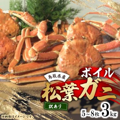 ふるさと納税 北栄町 鳥取県産ボイル松葉ガニおまかせ　3kg