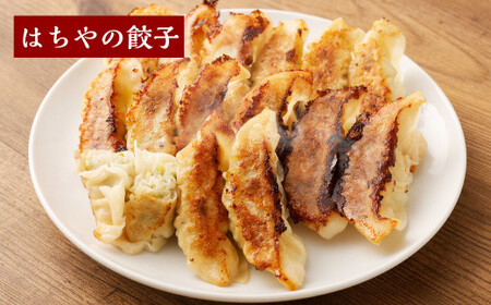 餃子 はちやの餃子と頑固餃子セット　【04203-0193】