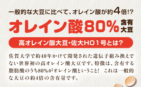 白大豆グラッセ 15袋（個包装タイプ） / 光武製菓株式会社[UEN011]