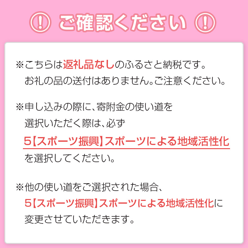 ＜J2昇格応援！＞テゲバジャーロ宮崎の活動支援 1口 5,000円～10,000,000円【返礼品なし】サッカー Jリーグ J2 スポーツ 社会貢献 地域活動 応援寄附 ファン サポーター【S28】_
