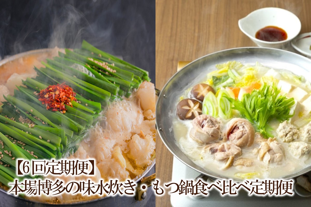 【6回定期便】本場博多の味水炊き・もつ鍋食べ比べ定期便【034-0070】