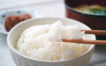 G-158【農薬・化学肥料不使用】循環農法で育てた自然の恵みいっぱいの『たから米（玄米）５キロ』