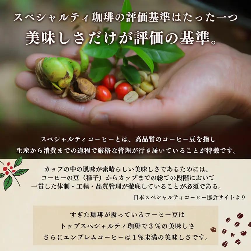 稀少 厳選 珈琲豆 トップスペシャルティーコーヒー 粗びき 200g × 2袋 | コーヒー すぎた珈琲 奈良県 平群町
