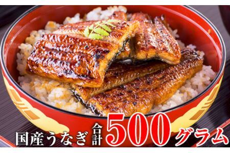 国産うなぎ蒲焼きカット500gセット (B448-1)