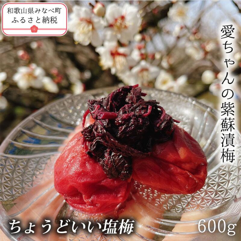 【ふるさと納税】【ちょうどいい塩梅】愛ちゃんの紫蘇漬 贈答用 600g | 《日本一の梅の産地》 和歌山 みなべ町 梅 うめ ウメ 梅干 梅干し しそ梅 しそ 塩分 13% 甘くない ギフト 贈り物