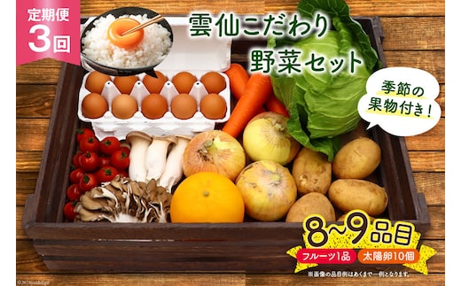 
										
										【3回 定期便 連続】雲仙こだわり野菜セット 野菜・フルーツ8〜9品目＋太陽卵10個 詰め合わせ [吉岡青果 長崎県 雲仙市 item1306] 野菜 フルーツ 卵 セット 旬の野菜
									