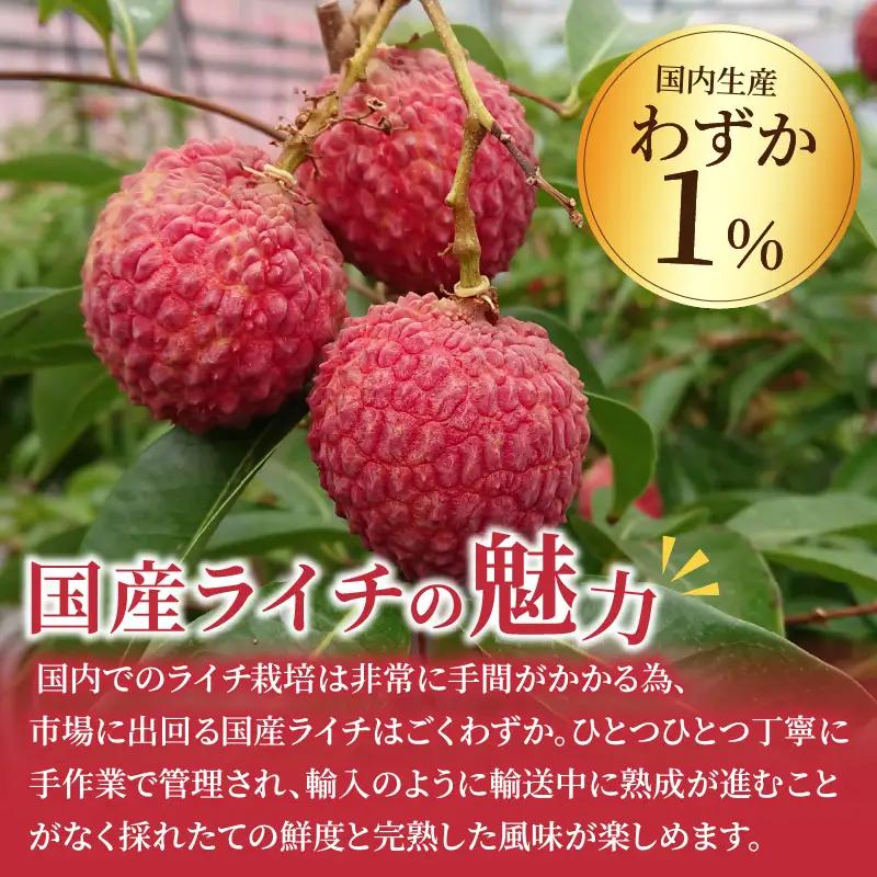 先行予約 数量限定 希少 綾生ライチ お裾分け セット 600g 果物 フルーツ くだもの 国産ライチ 2027年 トロピカルフルーツ 南国フルーツ 冷蔵 ジューシー 高級 デザート ギフト 贈り物 