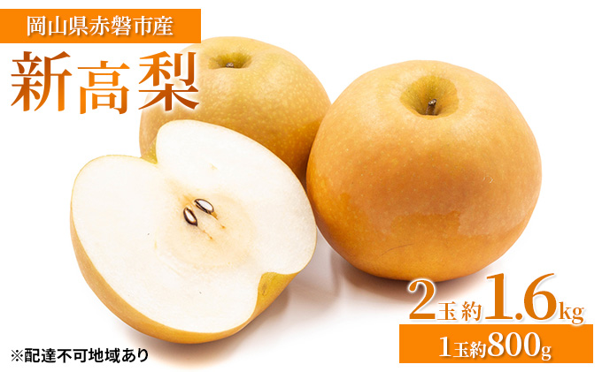 梨 2026年 先行予約 新高梨 2玉 約1.6kg（1玉約800g）岡山県 赤磐市産【配達不可：離島】 なし フルーツ 果物 ナシ 果物類 