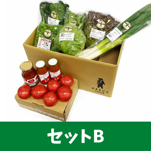 明野とまとセットと有機野菜おまかせ6種のコラボセット０２ トマト ケチャップ ジュース 有機野菜 おまかせ 6種 バラエティ セット 新鮮 九州屋ファーム 明野 野菜 山梨県 北杜市   [h216]