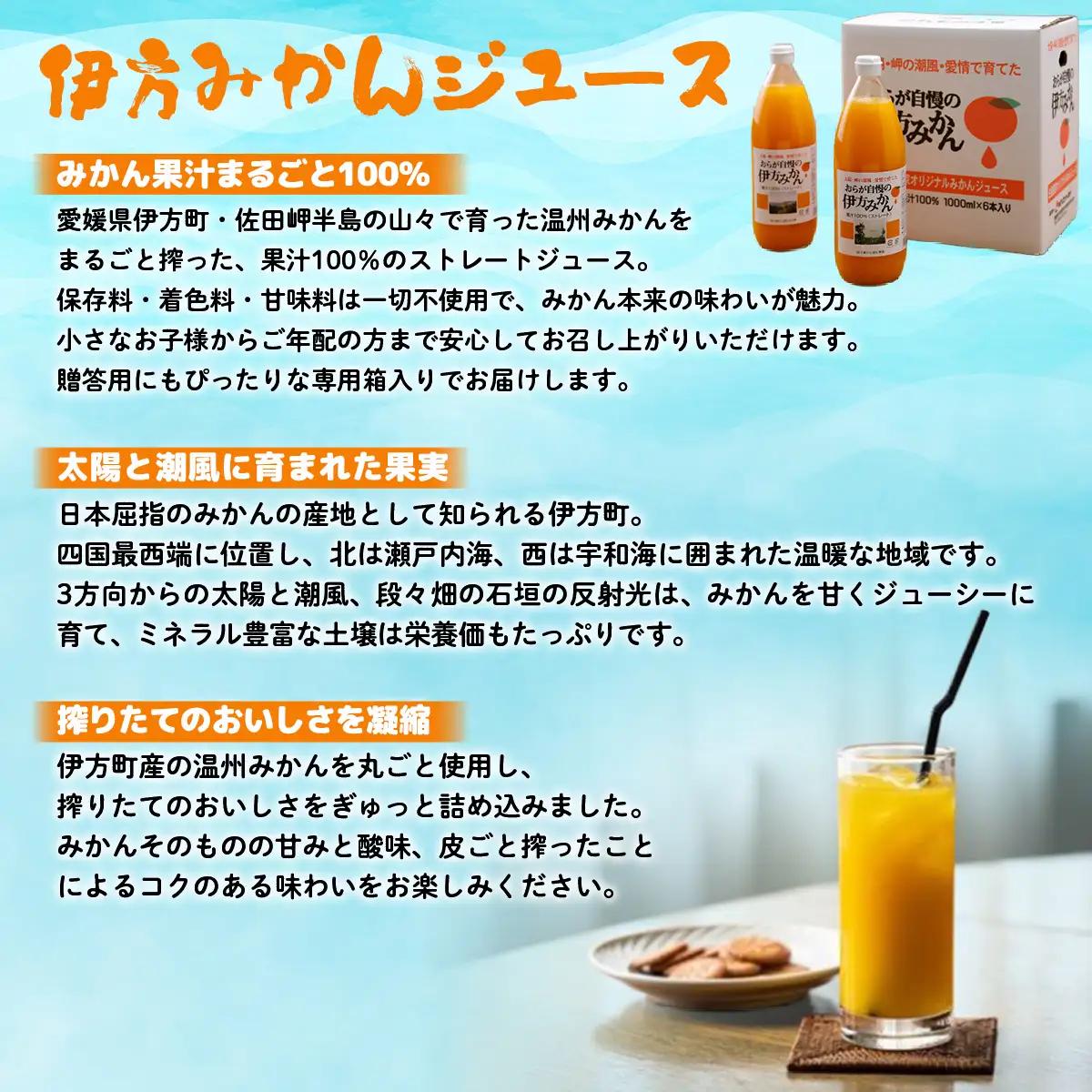 【愛媛県産】おらが自慢の伊方みかんジュース（1000ml×6本）ストレート果汁100％ 【ふるさと納税 人気 おすすめ ランキング みかん ミカン 蜜柑 ジュース みかんジュース ミカンジュース クリ