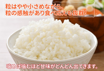 【令和7年産】ピロール農法 コシヒカリ精米5kg  真空パック
