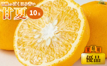 【2027年3月上旬頃から順次発送】甘夏 家庭用(優品) 10玉  みかん【KK0792】 