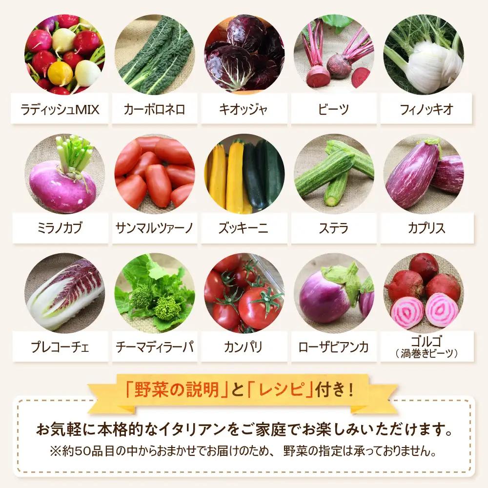 野菜 かほくイタリア野菜 旬のおまかせBOX 8-10種 野菜