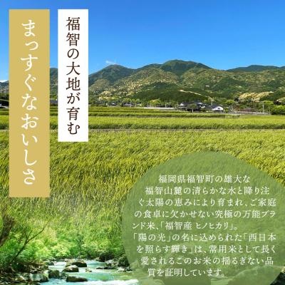 ふるさと納税 福智町 福智町産ブランド米(ヒノヒカリ5kg) |  | 02