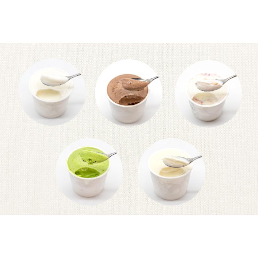 ＜岩瀬牧場＞アイス5種食べ比べセット