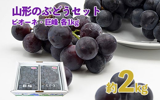 
            山形のぶどうセット 秀品 約2kg(ピオーネ1kg2房前後・巨峰1kg2房前後)[8月中旬～9月中旬お届け] 【令和7年産先行予約】FS24-571くだもの 果物 フルーツ 山形 山形県 山形市 2025年産
          