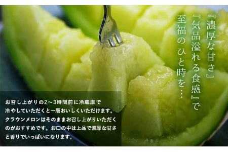 【通年出荷】クラウンメロン(白等級)1.0kg　2玉詰 6181　