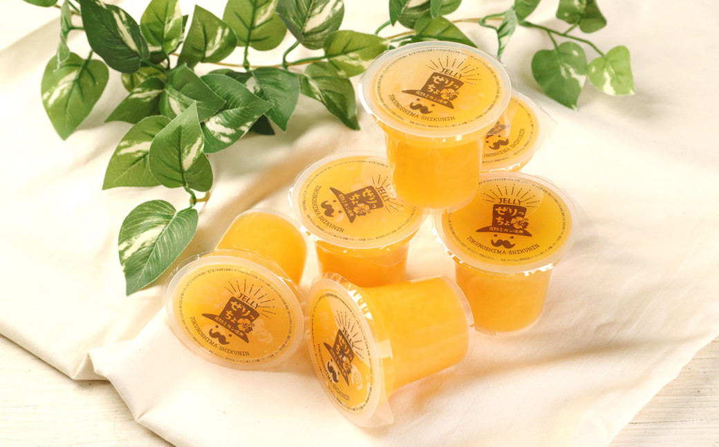 徳之島の素材で作った～まぁーいぜりっちょセット～ （6個入り） 120g×6個 合計720g ぜりっちょ 果汁入りゼリー