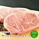 【ふるさと納税】博多和牛サーロインステーキセット　500g[250g×2枚]【014-0006】