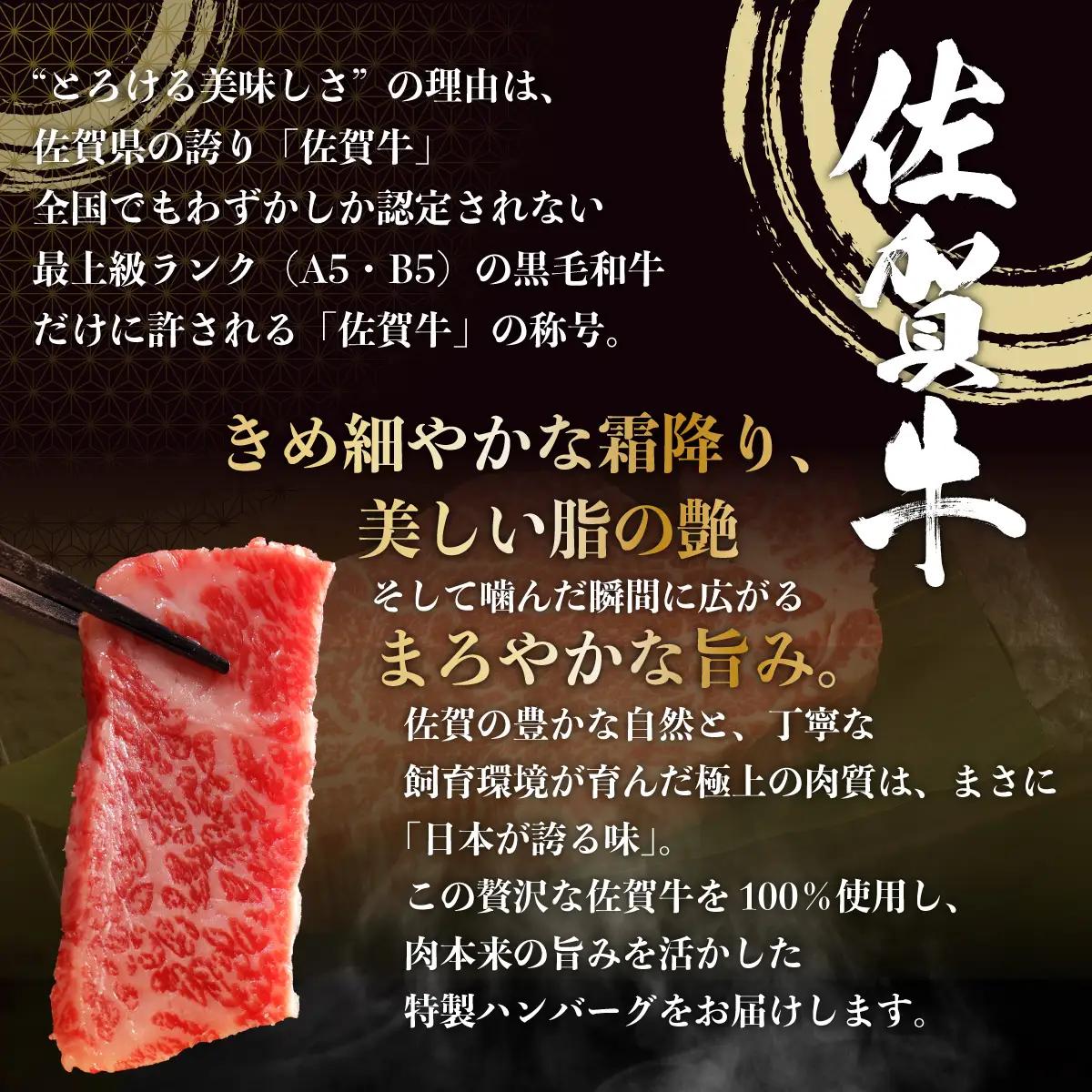 佐賀牛ハンバーグ 12個