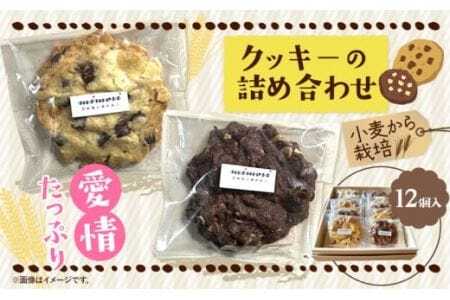 クッキーの詰め合わせ 選べる 内容量 12個入り お菓子