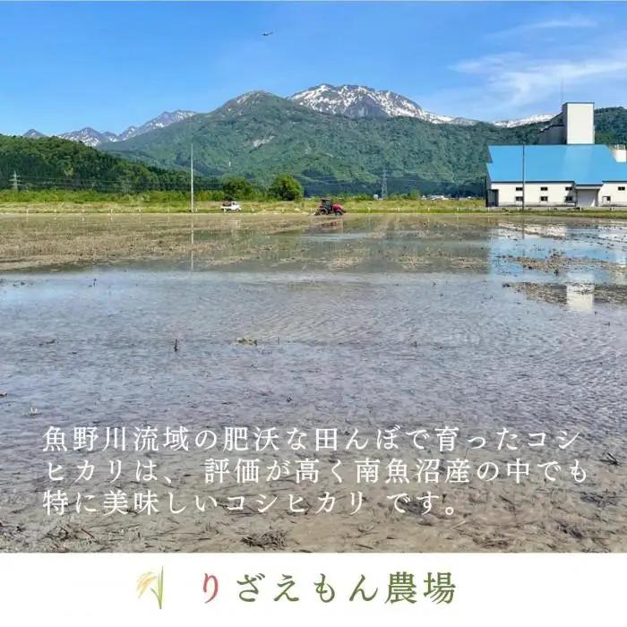 《令和8年産　新米予約受付》【定期便3回×2kg《合計6kg》】南魚沼産コシヒカリ　白米 2kg　＼生産農家直送／【2026年10月上旬より順次発送予定】