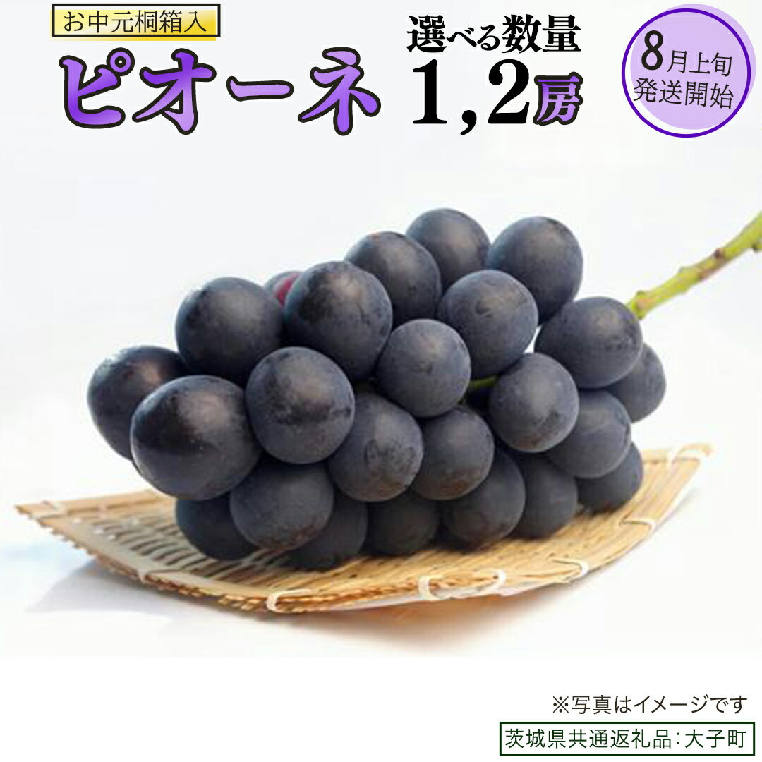 【ふるさと納税】【 選べる 房数 】【 お中元 桐箱入り】 ピオーネ 1房 2房 【2026年8月上旬発送開始】(茨城県共通返礼品：大子町) ブドウ ぶどう 葡萄 ピオーネ 果物 フルーツ 果実 贈答用 贈り物 ギフト プレゼント