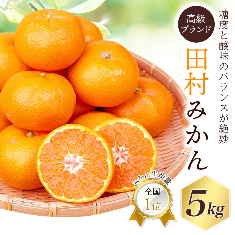 【ふるさと納税】 高級ブランド 田村みかん 5kg【予約】※2026年11月下旬頃〜2027年1月下旬頃に順次発送(お届け日指定不可)/みかん ミカン 有田みかん ブランドみかん 柑橘 果物 フルーツ 旬 先行 予約