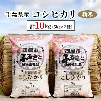 令和7年産 千葉県産コシヒカリ 精米 10kg(5kg×2袋)  ふるさと納税 コシヒカリ 米 精米 こめ 千葉県 茂原市 MBAD001