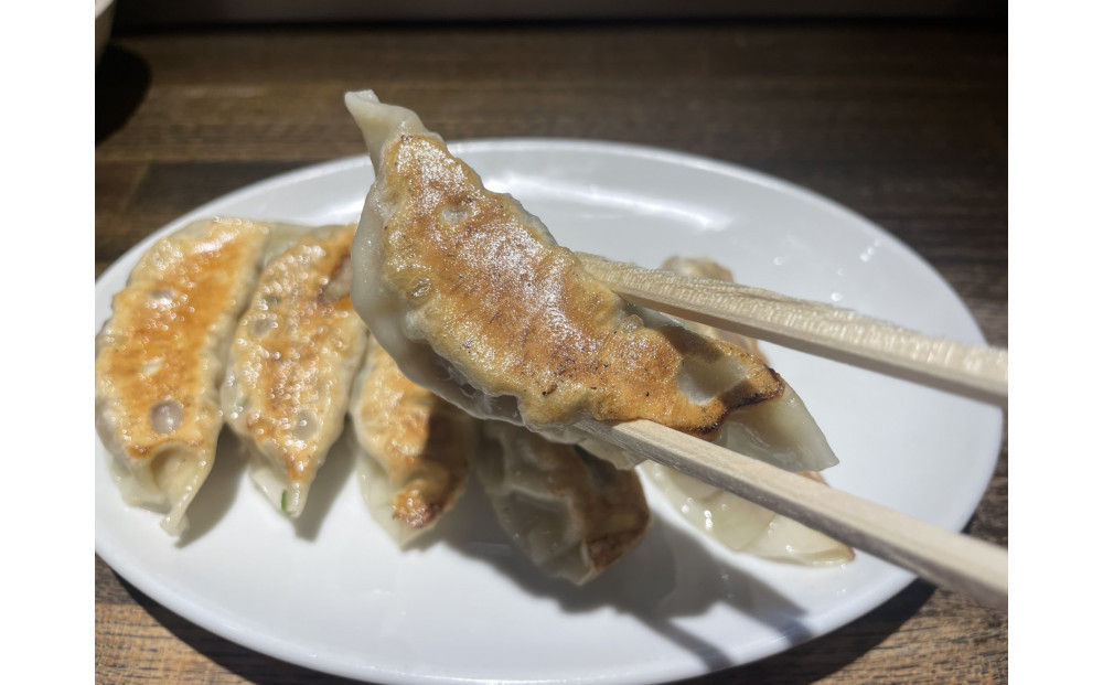 生姜餃子 45個【配送不可：沖縄県・離島】