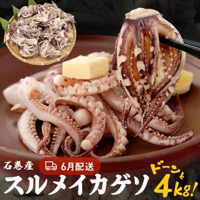 ふるさと納税 石巻市 訳あり 石巻産スルメイカゲソ 4kg 6月配送 冷凍 国産 いか 下足 おつまみ ゲソ天 石巻市