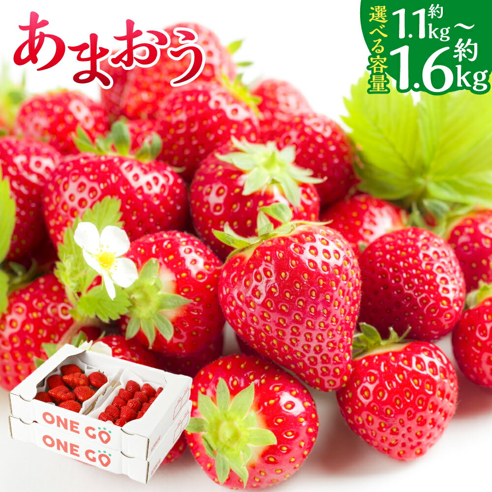 【ふるさと納税】【数量限定】 あまおう 〈選べる〉4パック or 6パック 約1120g or 約1680g 1パック約280g 苺 いちご イチゴ ストロベリー 果物 フルーツ おやつ デザート 冷蔵 福岡県産 国産 送料無料【2026年1月上旬-3月下旬迄発送予定】