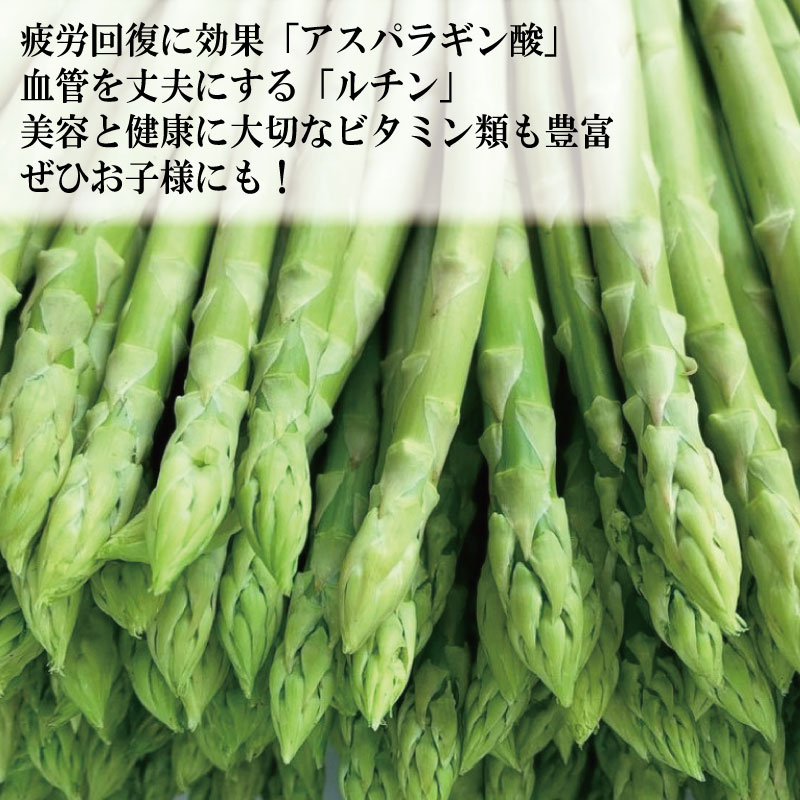 アスパラガス Lサイズ 1kg 2025年 4月から 発送 せいくらべ アスパラ 季節 春 野菜 新鮮 旬 煮物 炒め物 漬物 鍋 味噌汁 家庭用 弁当 惣菜 おかず 健康 栄養 Anto Farm 